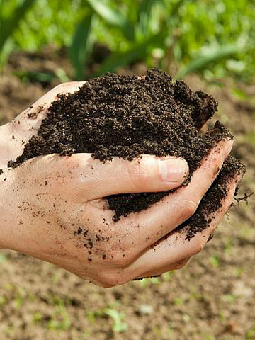 One-On-One Soil Training - DEPOSIT